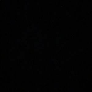 Meet your Posher, Molly